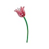 Studio Roof Studio Roof - decoratie bloemen - pink tulip Studio Roof Studio Roof - decoratie bloemen - pink tulip