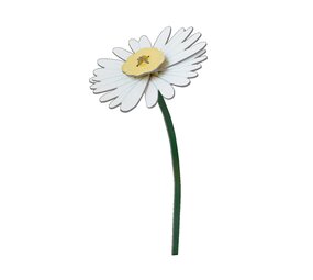 Studio Roof Studio Roof - decoratie bloemen - daisy Studio Roof Studio Roof - decoratie bloemen - daisy