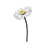 Studio Roof - decoratie bloemen - daisy Studio Roof - decoratie bloemen - daisy