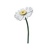 Studio Roof Studio Roof - decoratie bloemen - daisy Studio Roof Studio Roof - decoratie bloemen - daisy