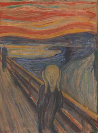 Kunstsokken Kunstsokken - de schreeuw