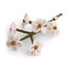 Gry & Sif Gry & sif - bloem vergeet me nietje - white Gry & Sif Gry & sif - bloem vergeet me nietje - white