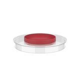 Mepal Mepal - chef it spatdeksel beslagkom 3000 ml - coral