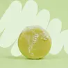 SOLYD SOLYD - shampoo bar - bergamot (geverfd haar)