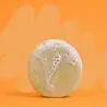 SOLYD SOLYD - shampoo bar - honing