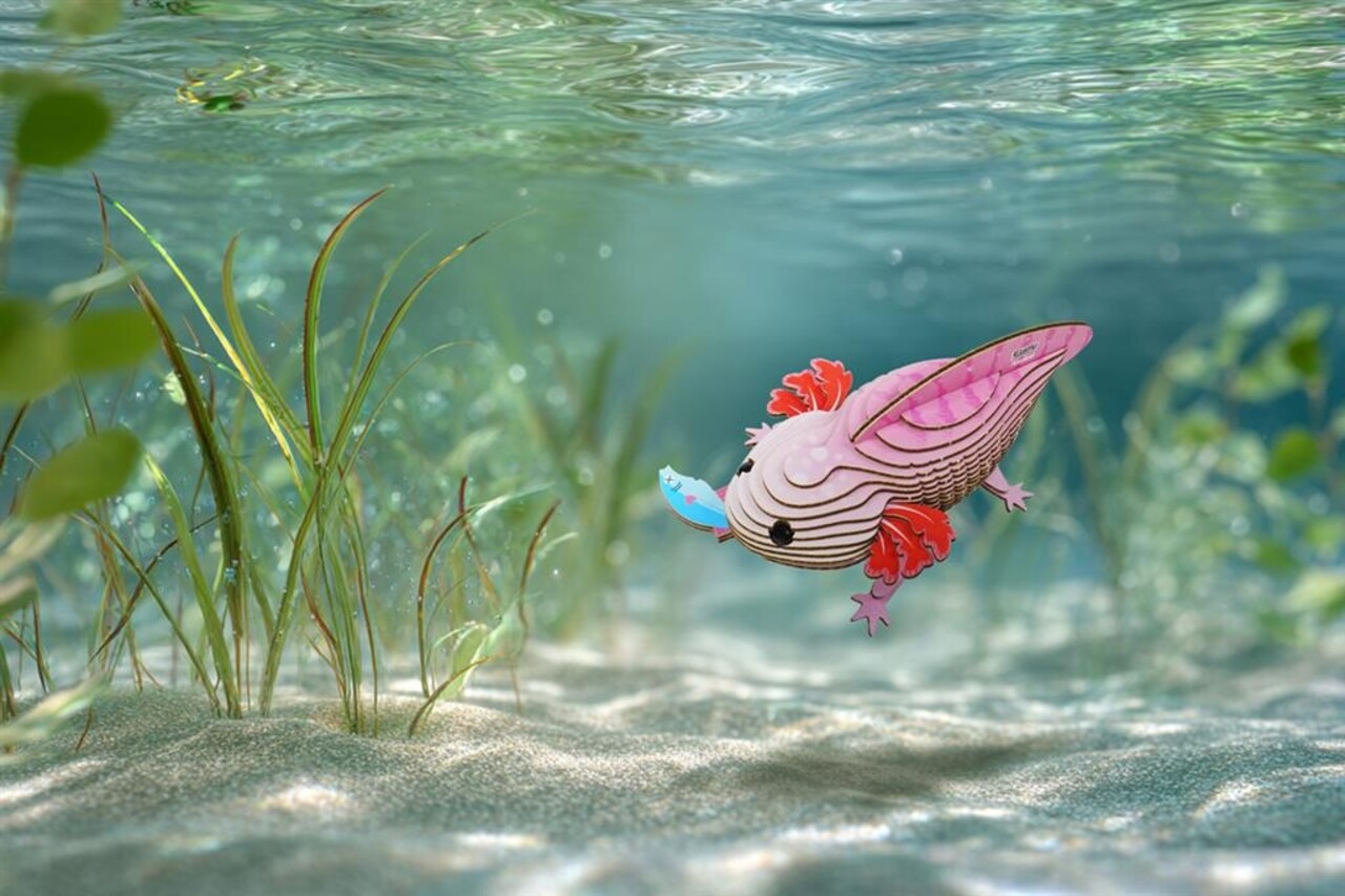 Eugy Eugy - 3d model - axolotl (nr 139)