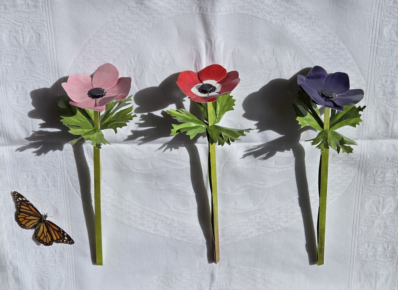 Piet Design Piet design - vouwpakket - anemonen (3 stuks)