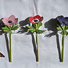 Piet Design Piet design - vouwpakket - anemonen (3 stuks)