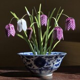 Piet Design Piet design - vouwpakket - kievitsbloemen