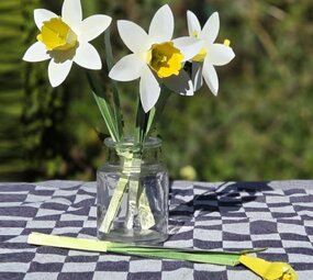 Piet Design Piet design - vouwpakket - narcissen