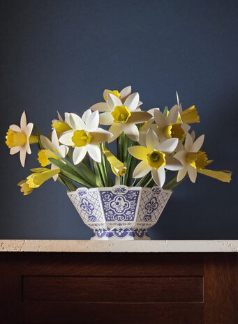 Piet Design Piet design - vouwpakket - narcissen