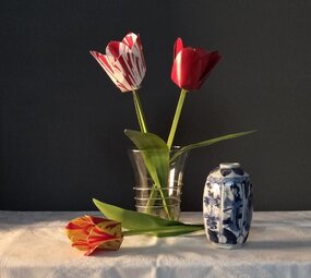 Piet Design Piet design - vouwpakket - tulpen (3 stuks)