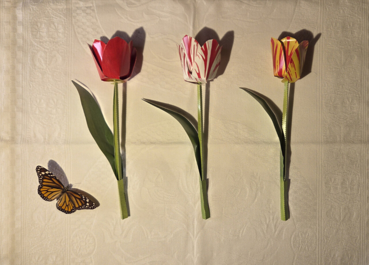 Piet Design Piet design - vouwpakket - tulpen (3 stuks)