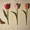 Piet Design Piet design - vouwpakket - tulpen (3 stuks)