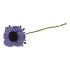 Gry & sif - bloem french anemone - purple