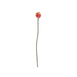 Aveva Design Aveva design - bloem distel - pom pom lilac-neon S Aveva Design Aveva design - bloem distel - pom pom lilac-neon S