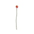 Aveva design - bloem distel - pom pom lilac-neon S