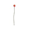 Aveva Design Aveva design - bloem distel - pom pom lilac-neon S