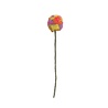 Aveva Design Aveva design - bloem distel - pom pom lilac-neon M