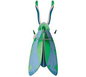 Studio Roof Studio Roof - muurdecoratie - jade grasshopper