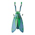 Studio Roof - muurdecoratie - jade grasshopper Studio Roof - muurdecoratie - jade grasshopper