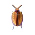 Studio Roof - muurdecoratie - cuprum beetle Studio Roof - muurdecoratie - cuprum beetle