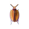 Studio Roof Studio Roof - muurdecoratie - cuprum beetle Studio Roof Studio Roof - muurdecoratie - cuprum beetle