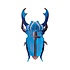 Studio Roof - muurdecoratie - azure stag beetle Studio Roof - muurdecoratie - azure stag beetle