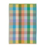 Foekje Fleur Foekje fleur - odds & ends - checkered check theedoek #137A Foekje Fleur Foekje fleur - odds & ends - checkered check theedoek #137A