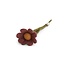 Gry & sif - bloem anemoon klein - rouge Gry & sif - bloem anemoon klein - rouge