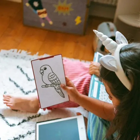 Kidywolf Kidywolf - kidydraw-mini tekentablet - huisdieren
