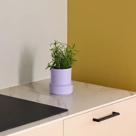 CrushGrind Crushgrind - kruidenpot zelfbewaterend - lavender CrushGrind Crushgrind - kruidenpot zelfbewaterend - lavender