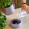 CrushGrind Crushgrind - kruidenpot zelfbewaterend - lavender CrushGrind Crushgrind - kruidenpot zelfbewaterend - lavender