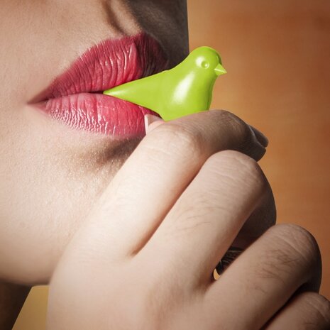 Qualy Qualy - sleutelhanger sparrow duo - white/red Qualy Qualy - sleutelhanger sparrow duo - white/red