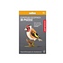 Kikkerland - 3d puzzel - european goldfinch