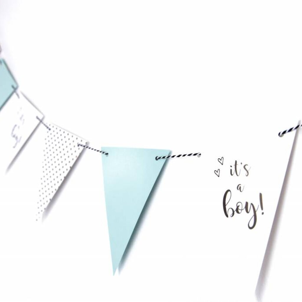Slinger it's a boy!