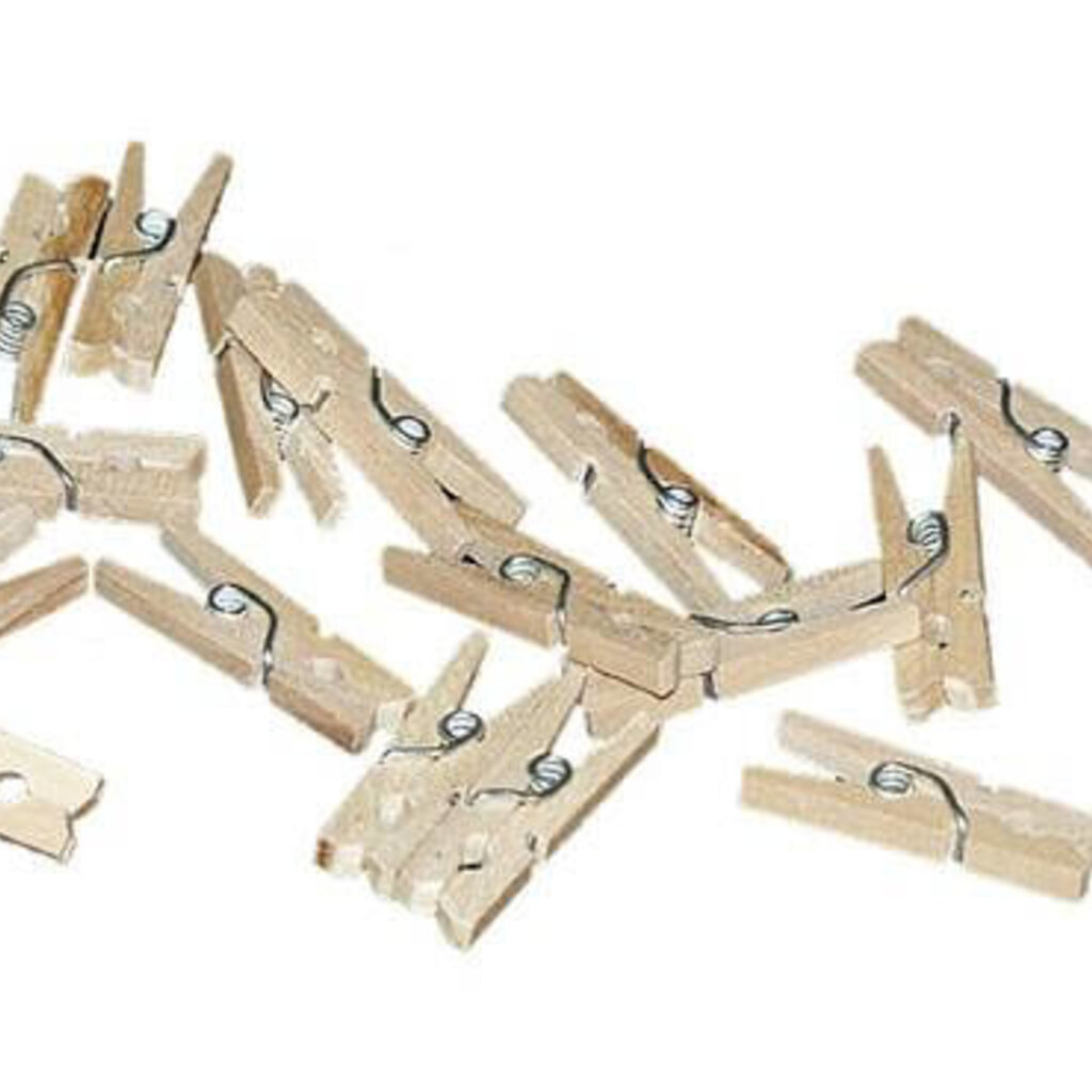 Mini knijpertjes hout 20x