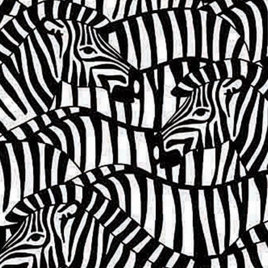 Cadeauzakjes zebra (5x)
