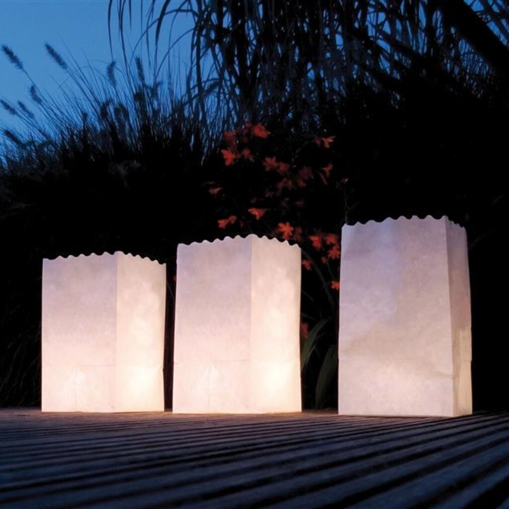 Lichtzakjes wit 5 stuks