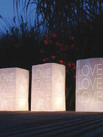Lichtzakjes Love 5 stuks