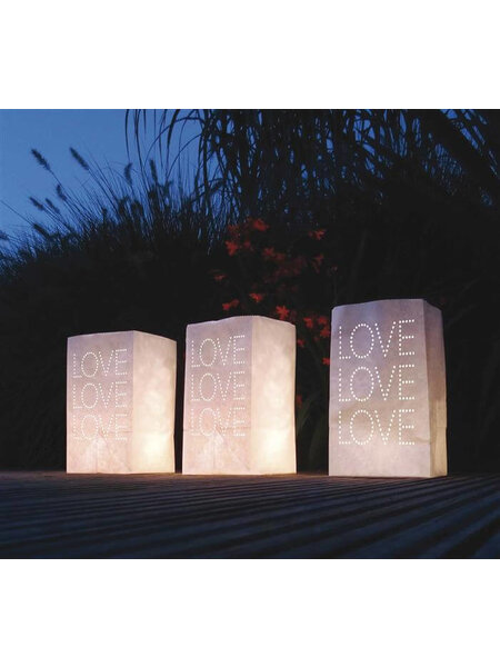 Lichtzakjes Love 5 stuks