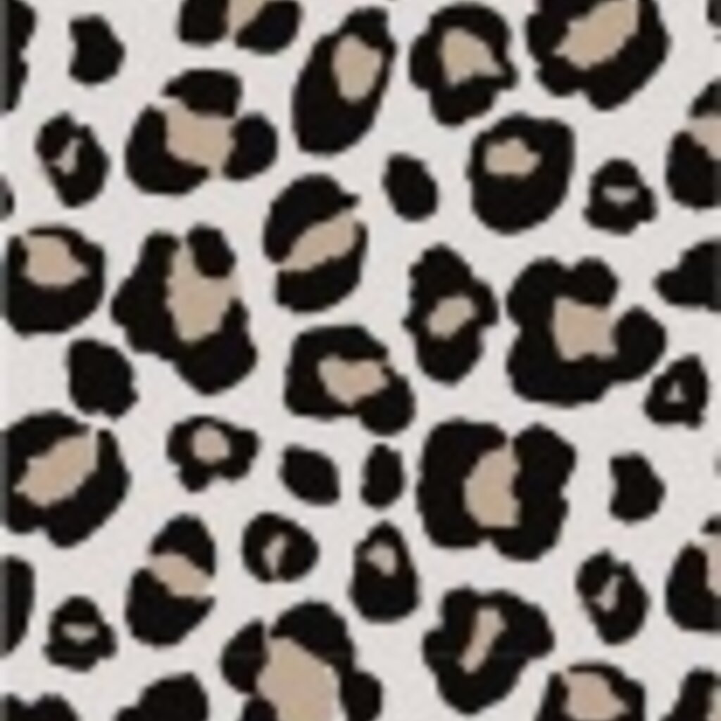 Sluitsticker vaantje Luipaard kadootje 5x