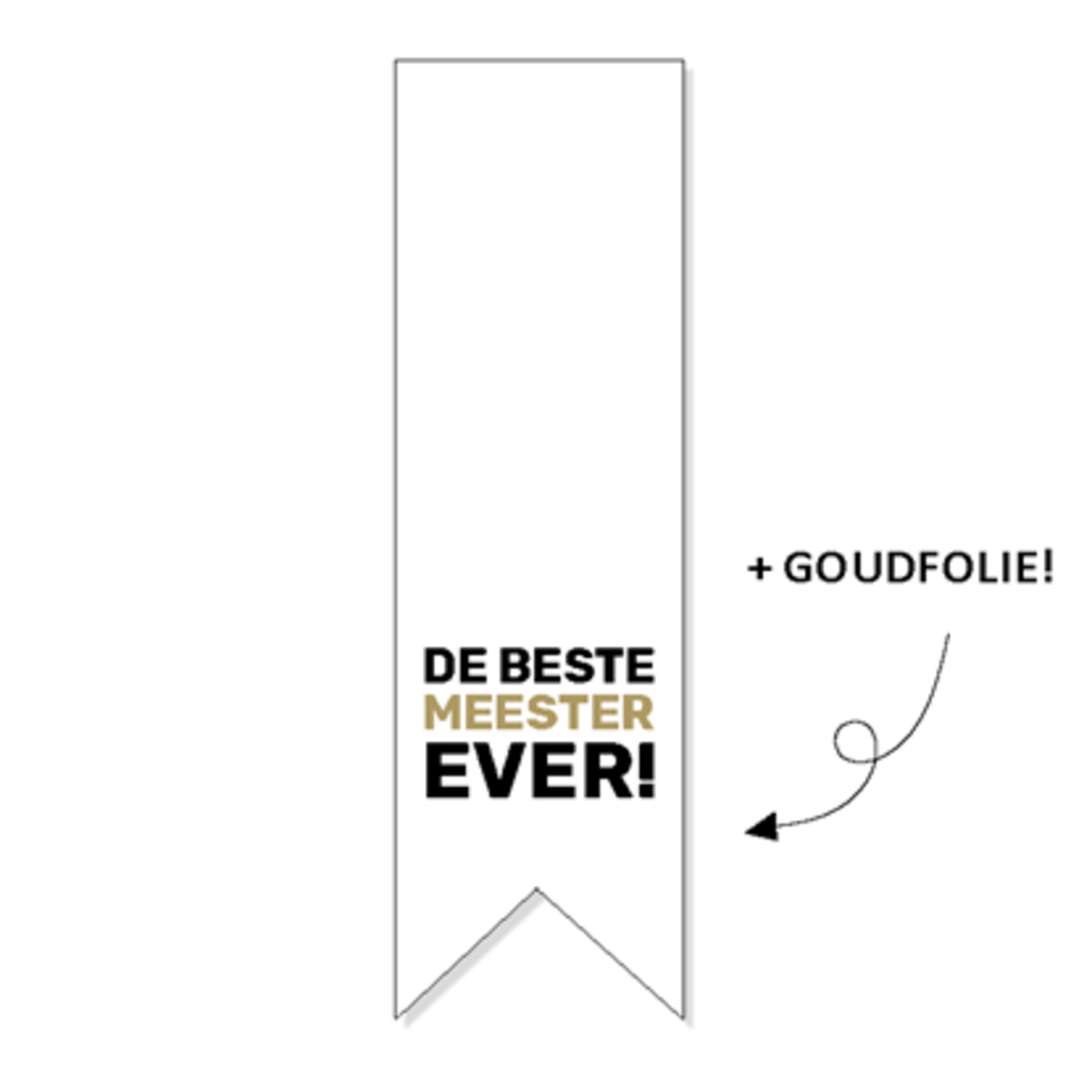 Sluitsticker vaantje de beste meester ever 5x