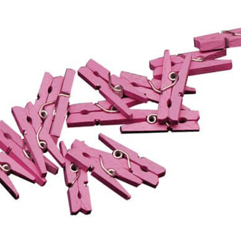Mini knijpertjes roze 20x