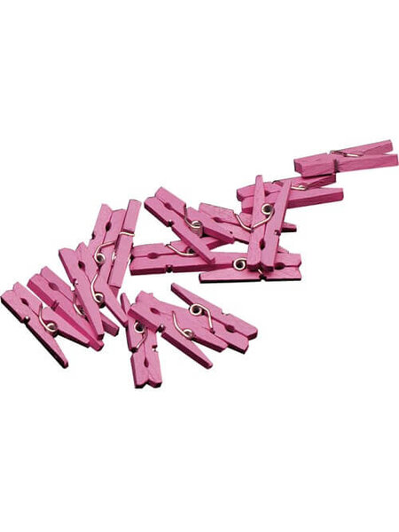 Mini knijpertjes roze 20x