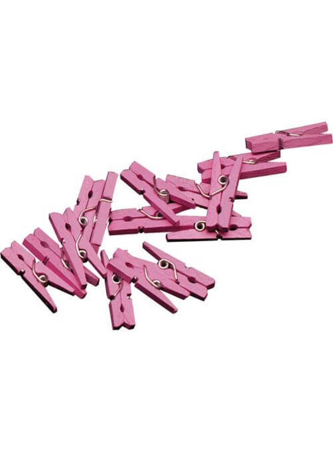 Mini knijpertjes roze 20x