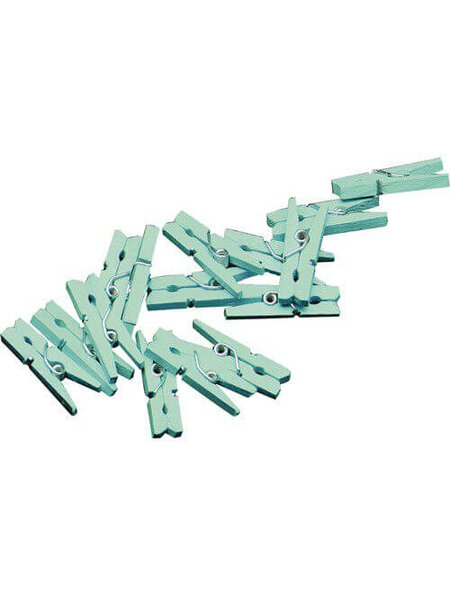 Mini knijpertjes mint 20x