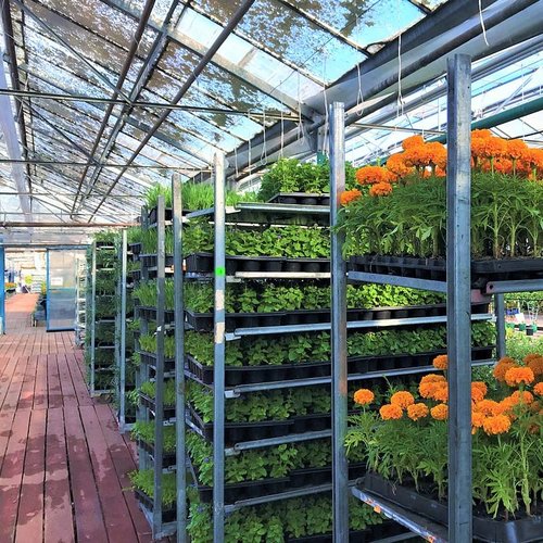 Blumenwagen gebraucht, 3 Regalböden, 1350x565x1900mm