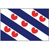 Talamex Talamex vlaggen Nederland: Provincievlag Friesland 30X45