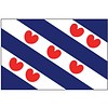 Talamex Talamex vlaggen Nederland: Provincievlag Friesland 50x75